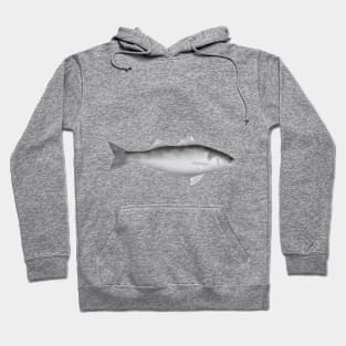 European Seabass Hoodie